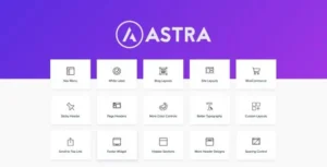 Astra Pro Addon Version 4.9.2 – WordPress Theme for Any Website