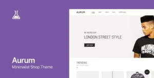Aurum Version 4.0.6 – WordPress & WooCommerce Shopping Theme
